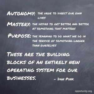 autonomy mastery purpose